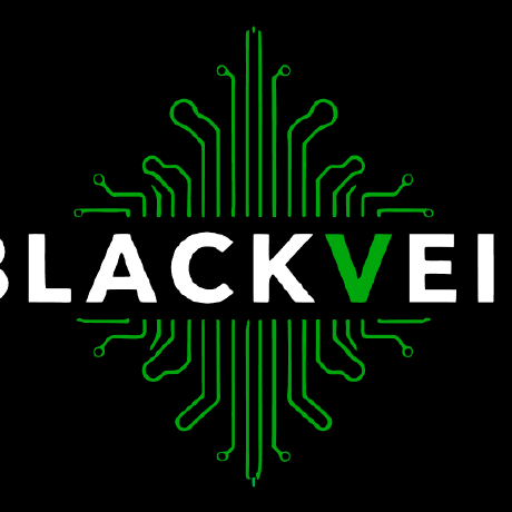 com.blackveilsecurity/dns icon