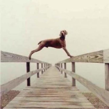 io.github.iiatlas/hledger-mcp icon